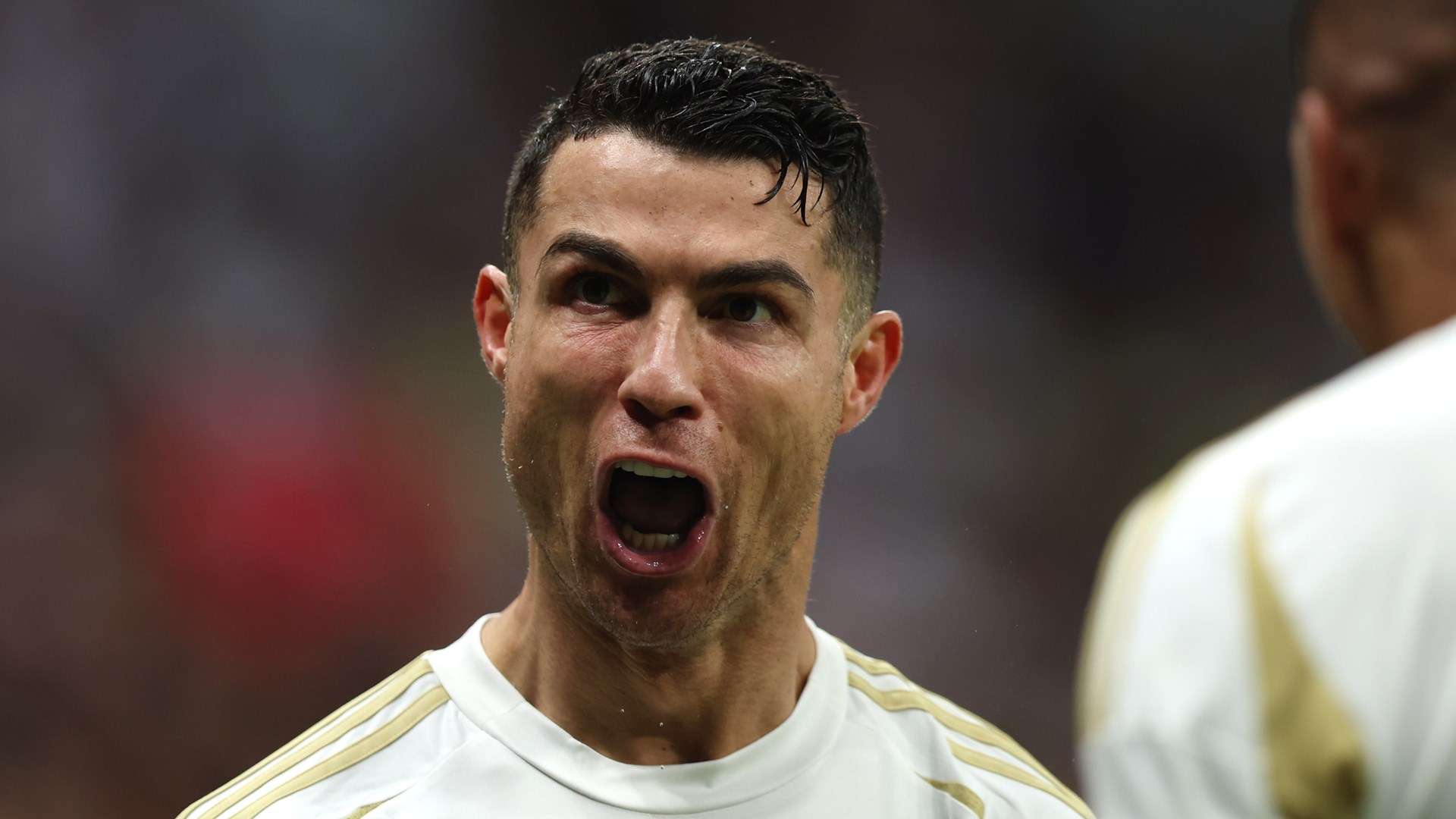 高性价比的 高性价比的